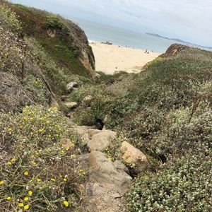 Meet your Posher, Daniela